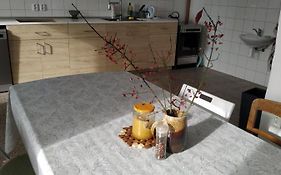 Apartman V Anenskem Udoli